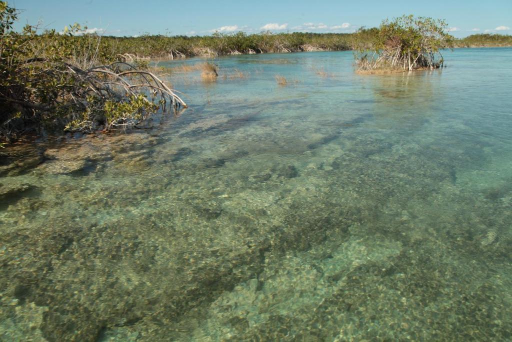 Casa China Bacalar Bagian luar foto