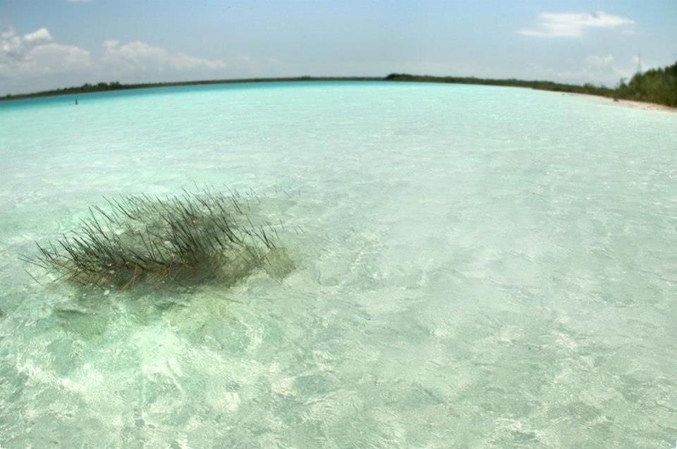 Casa China Bacalar Bagian luar foto